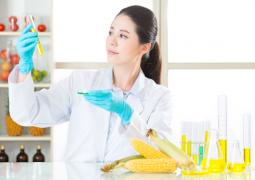 Bsc_Hons_FoodScience.jpg