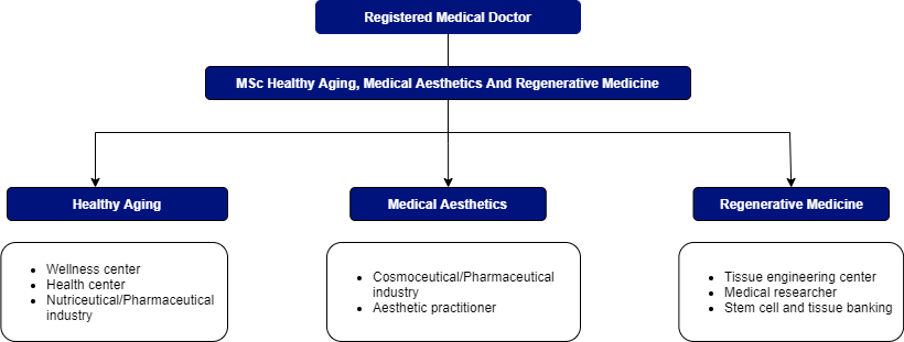 MSc_Healthy_CareerPathway.png MSc_Healthy_CareerPathway.png