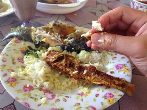ORCHARDHOMESTAYHULULANGAT14.png