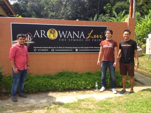 ORCHARDHOMESTAYHULULANGAT17.JPG