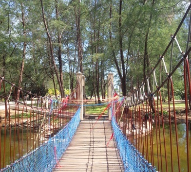 terenhhanu (8)1