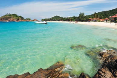 画像の説明
